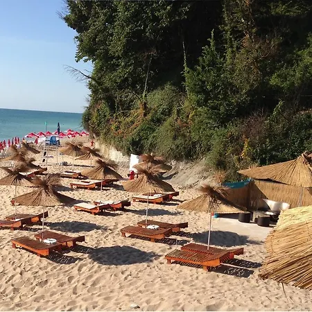 москояни Бяла