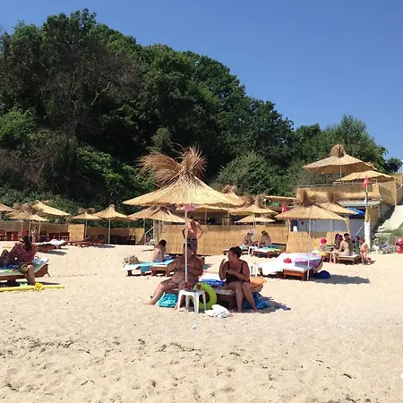 москояни * Бяла